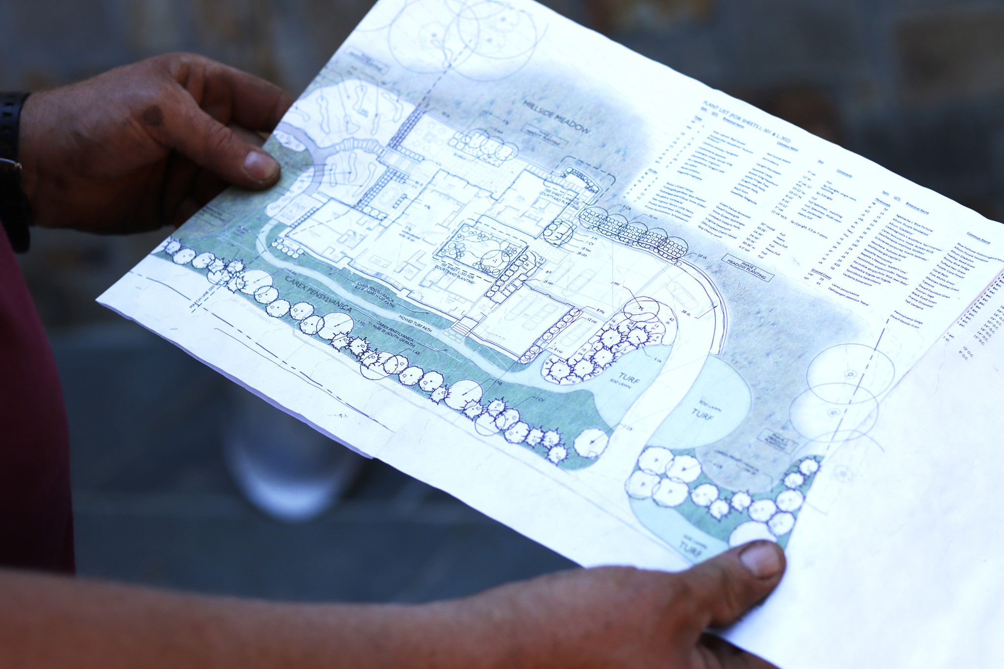 201225598_2095777497230465_6686983092749990976_n